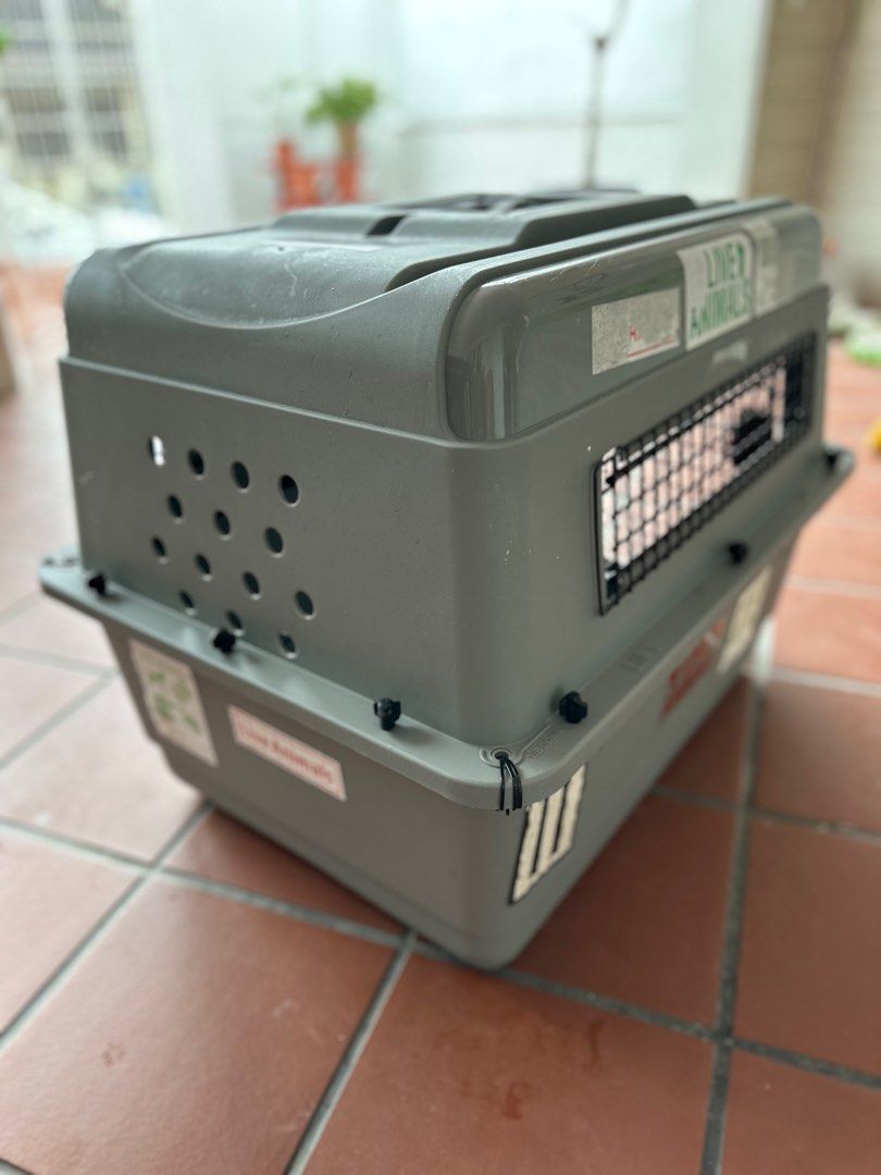 Petmate sky kennel portable sale dog crate