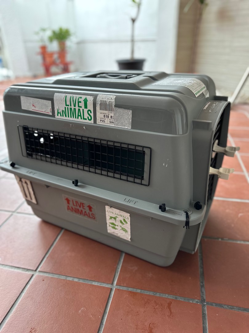 Petmate sky hot sale