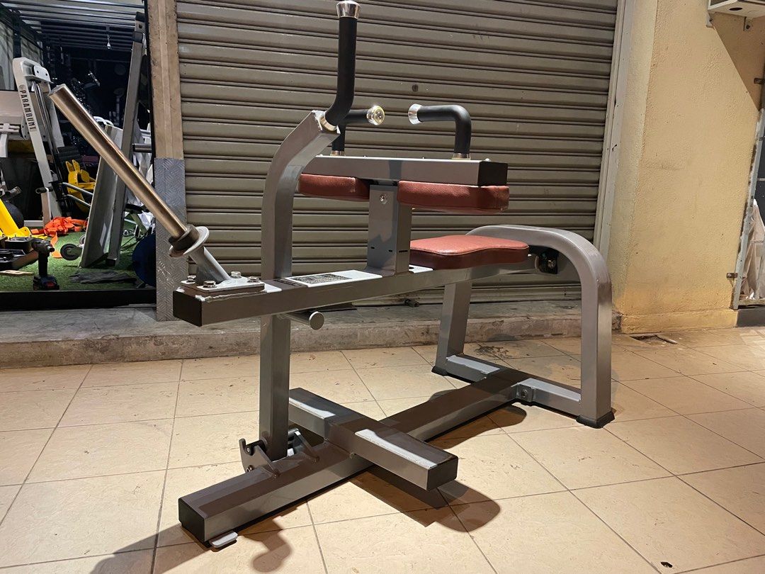 Seated calf raise gym soleus muscle, Sports Equipment, Exercise