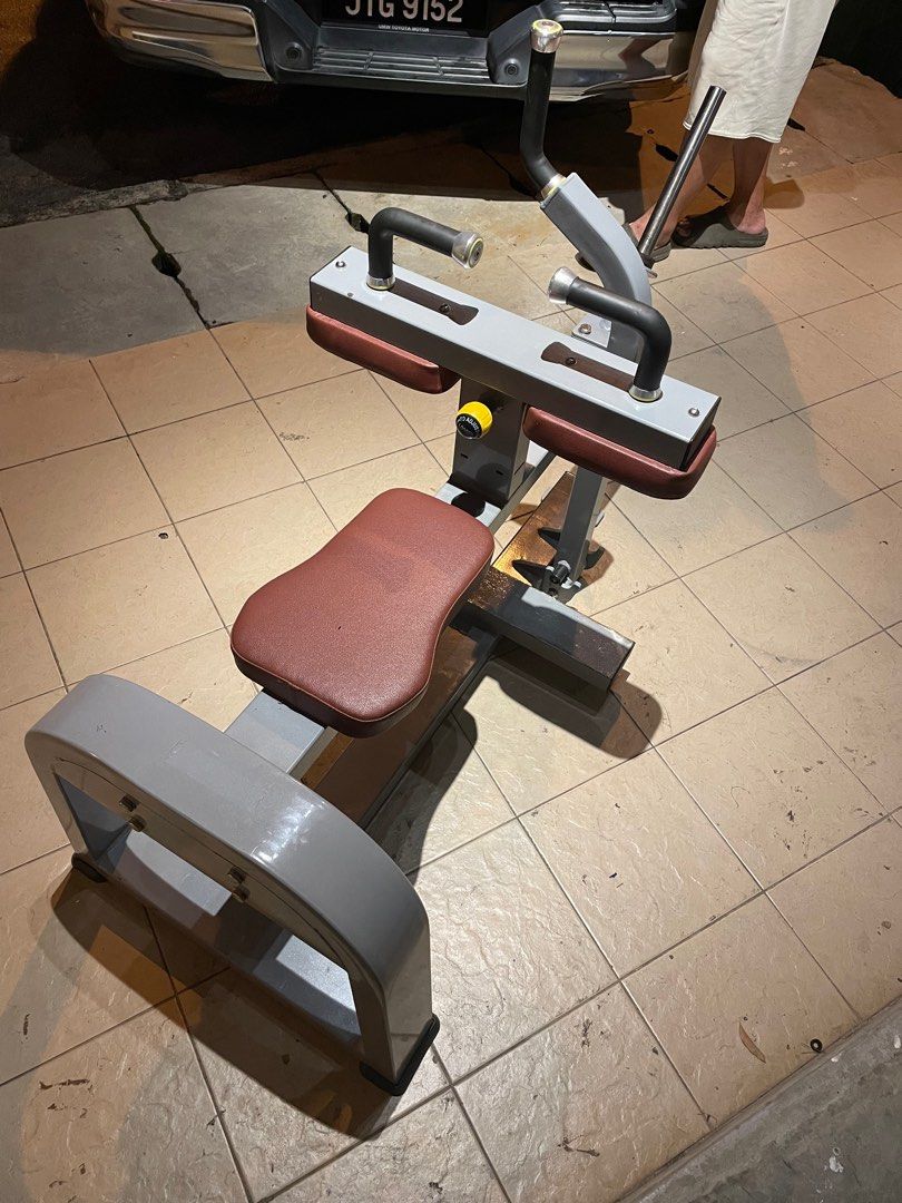 Seated calf raise gym soleus muscle, Sports Equipment, Exercise