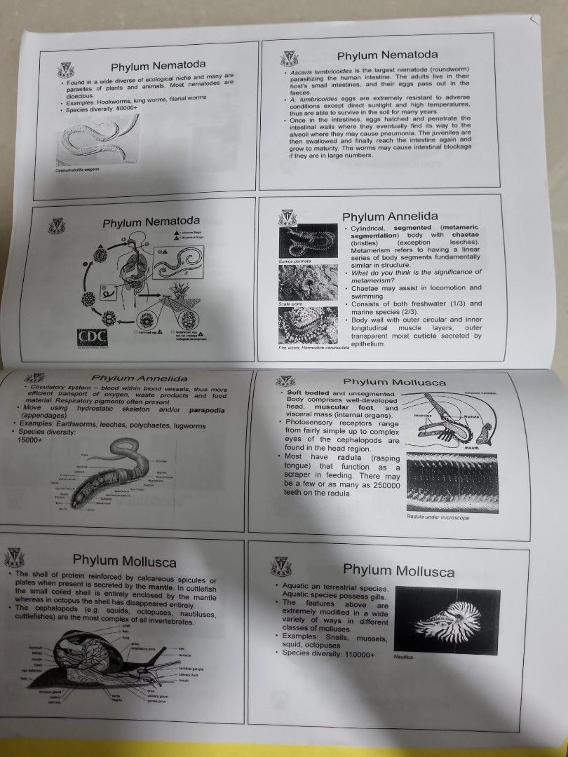 SJBO Biology Olympiad Notes from Catholic High, Hobbies & Toys, Books