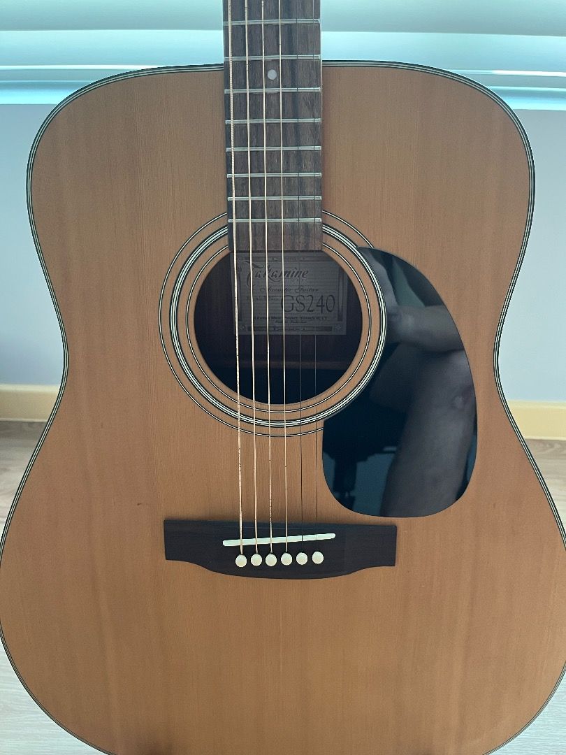 Takamine gs 240 sale
