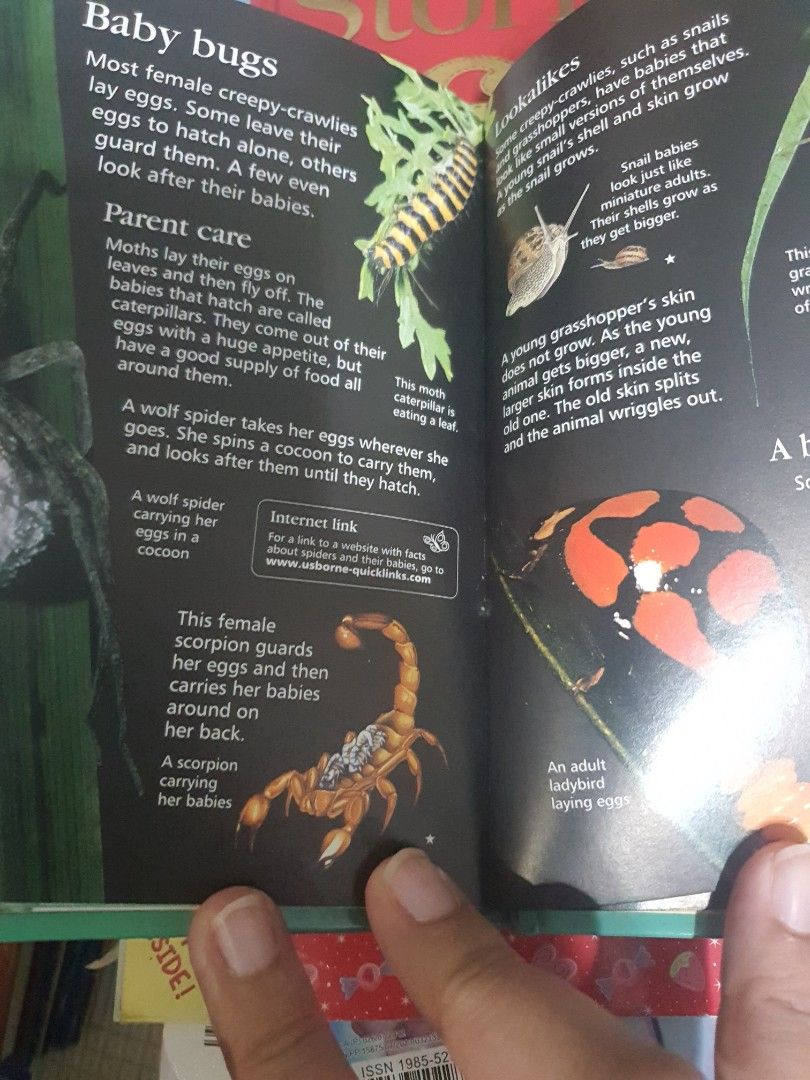 USBORNE (Category: Children's Books) located in Singapore. Submitted by queenroman (Listing ID 1275729097, Image 2). Description: Hard copy.
