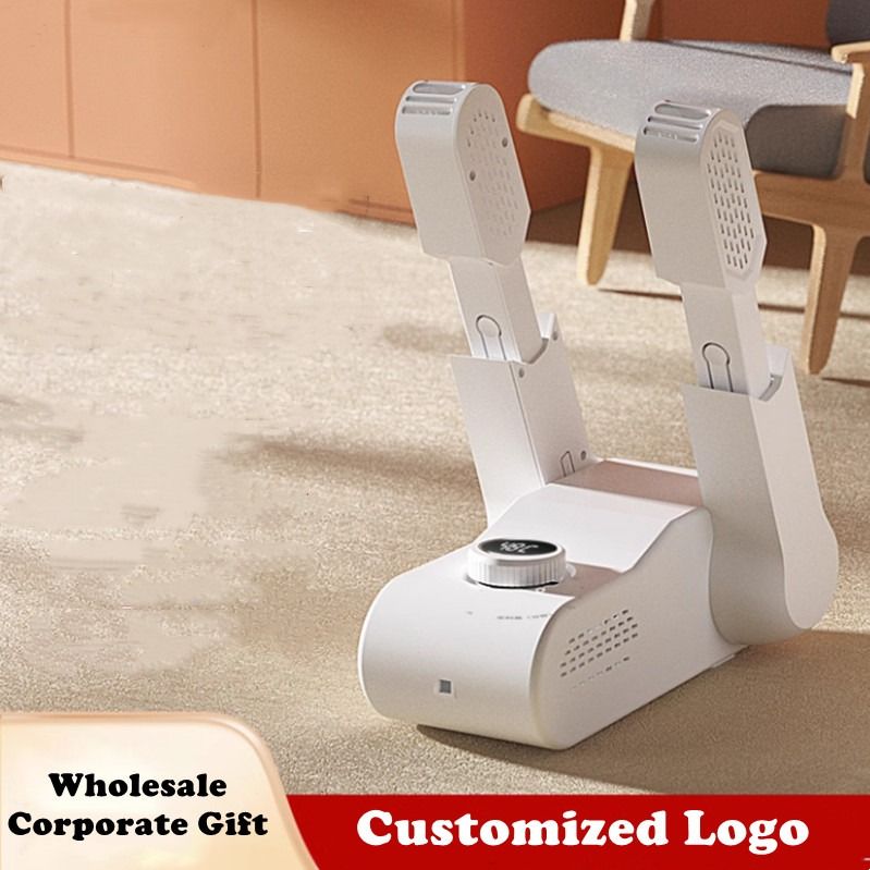 Wholesale Corporate gift Company Event Shoe Dryer 360 Degree Heat