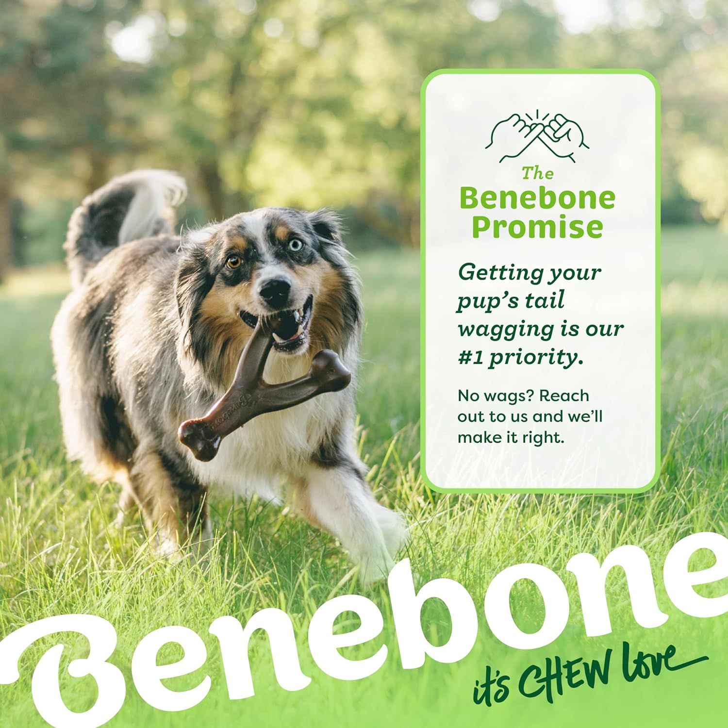 Benebone Real Flavor Wishbone Chew Toy Made in USA Medium Real