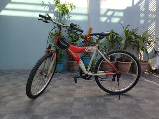 Hercules bravo cycle cheap