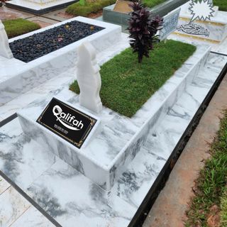 (Category: ) located in . Submitted by petburialservice (Listing ID 1278166930, Image 1). Description: .