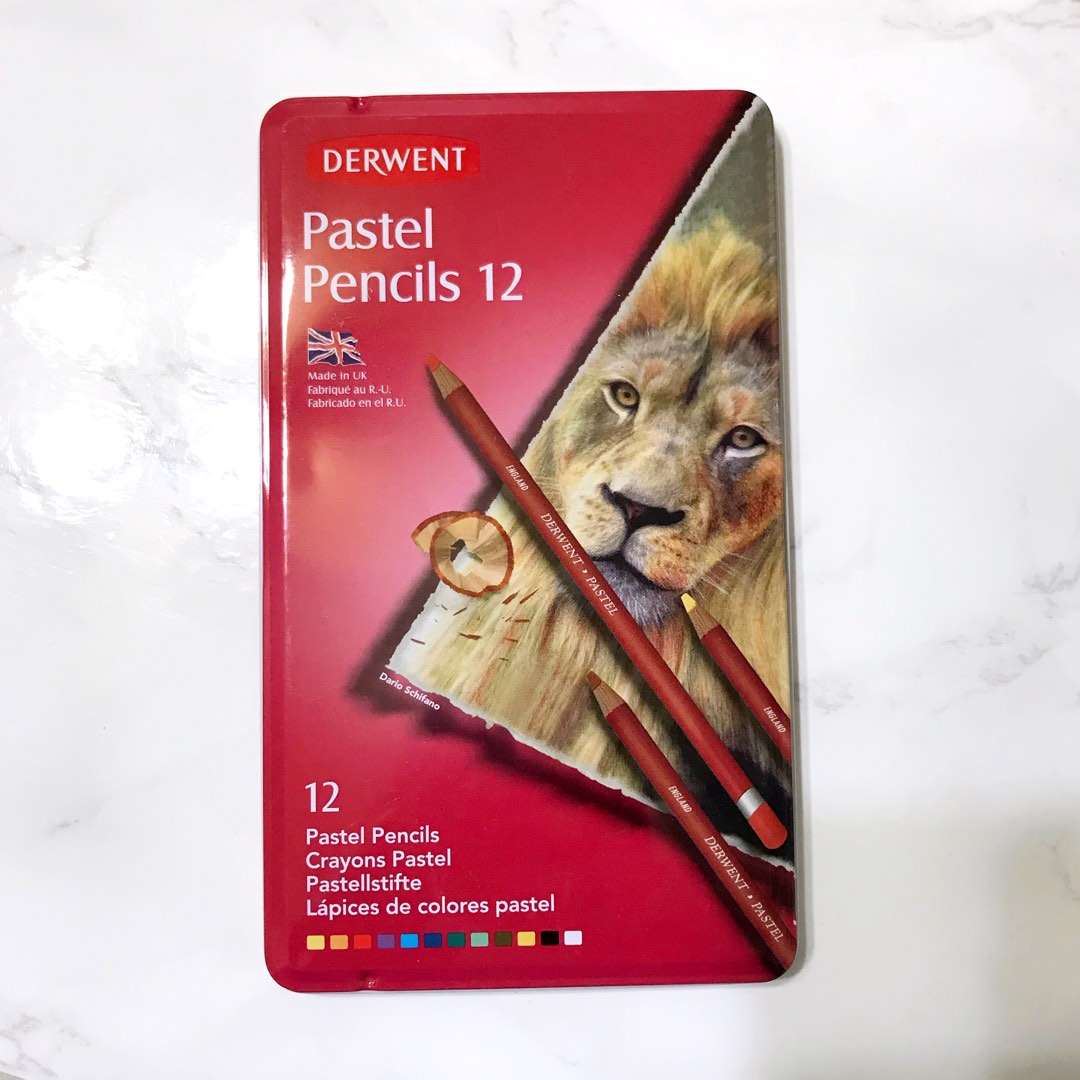 Derwent Pastel Pencils 12, Hobbies & Toys, Stationery & Craft, Craft ...