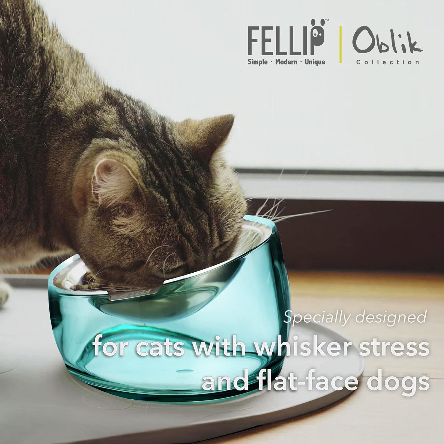 Felli Pet Oblik Whisker Fatigue Friendly Raised Cat Food Bowl