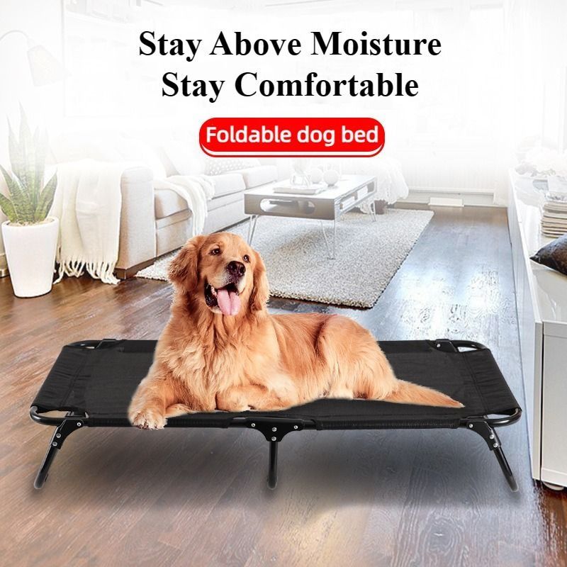Elevated dog on sale bed frame