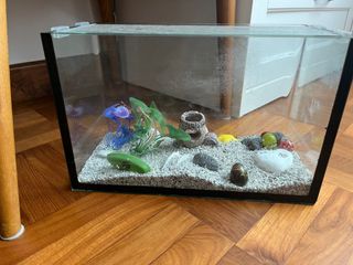 (Category: ) located in . Submitted by ddaga (Listing ID 1278233825, Image 1). Description: .