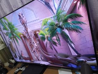 (Category: ) located in . Submitted by john8888888 (Listing ID 1278210078, Image 1). Description: .
