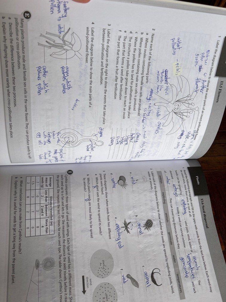 IGCSE Biology Secondary 1 Workbook, Hobbies & Toys, Books & Magazines ...