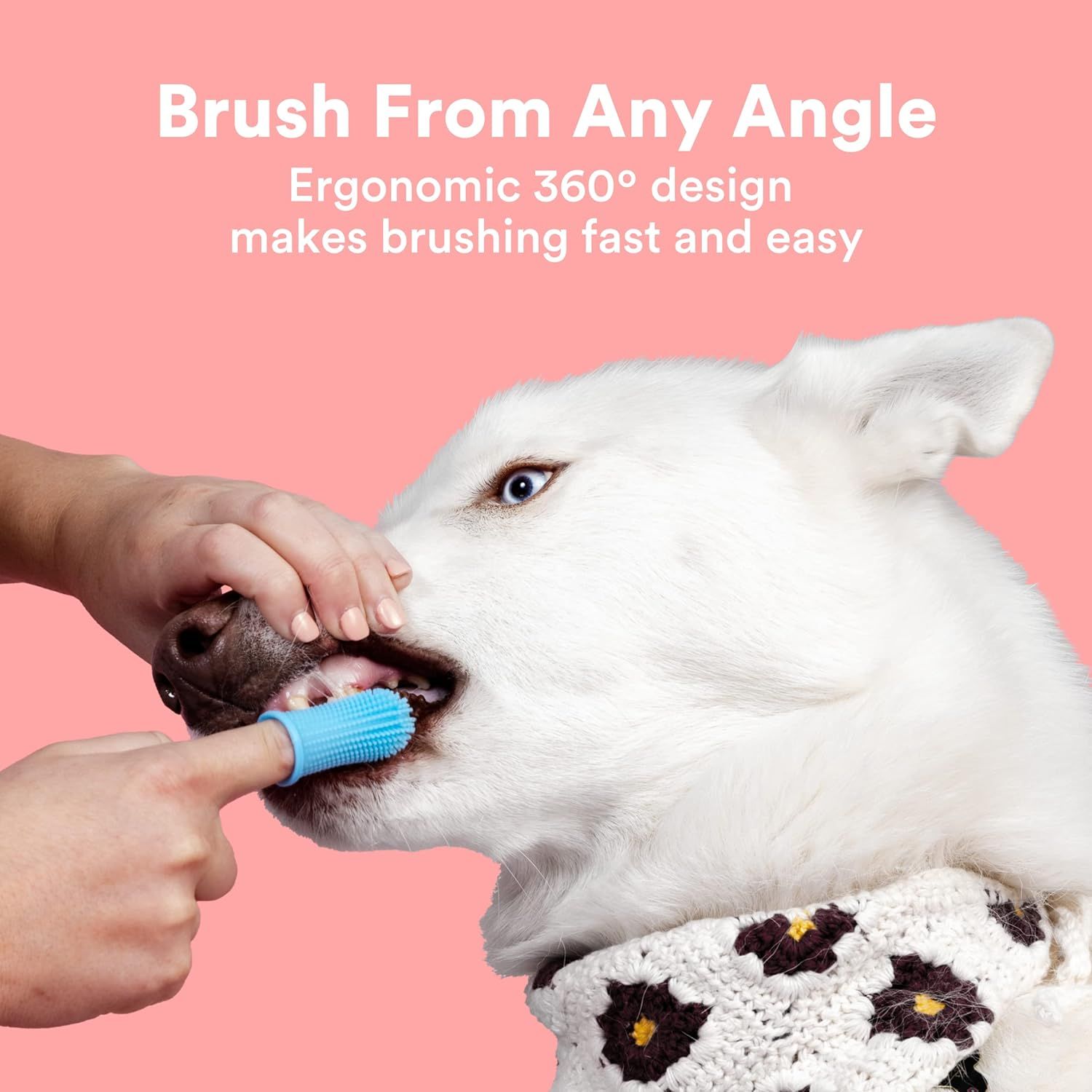 Dogsmart toothbrush top
