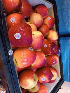 (Category: ) located in . Submitted by yanfruits (Listing ID 1278400162, Image 1). Description: .