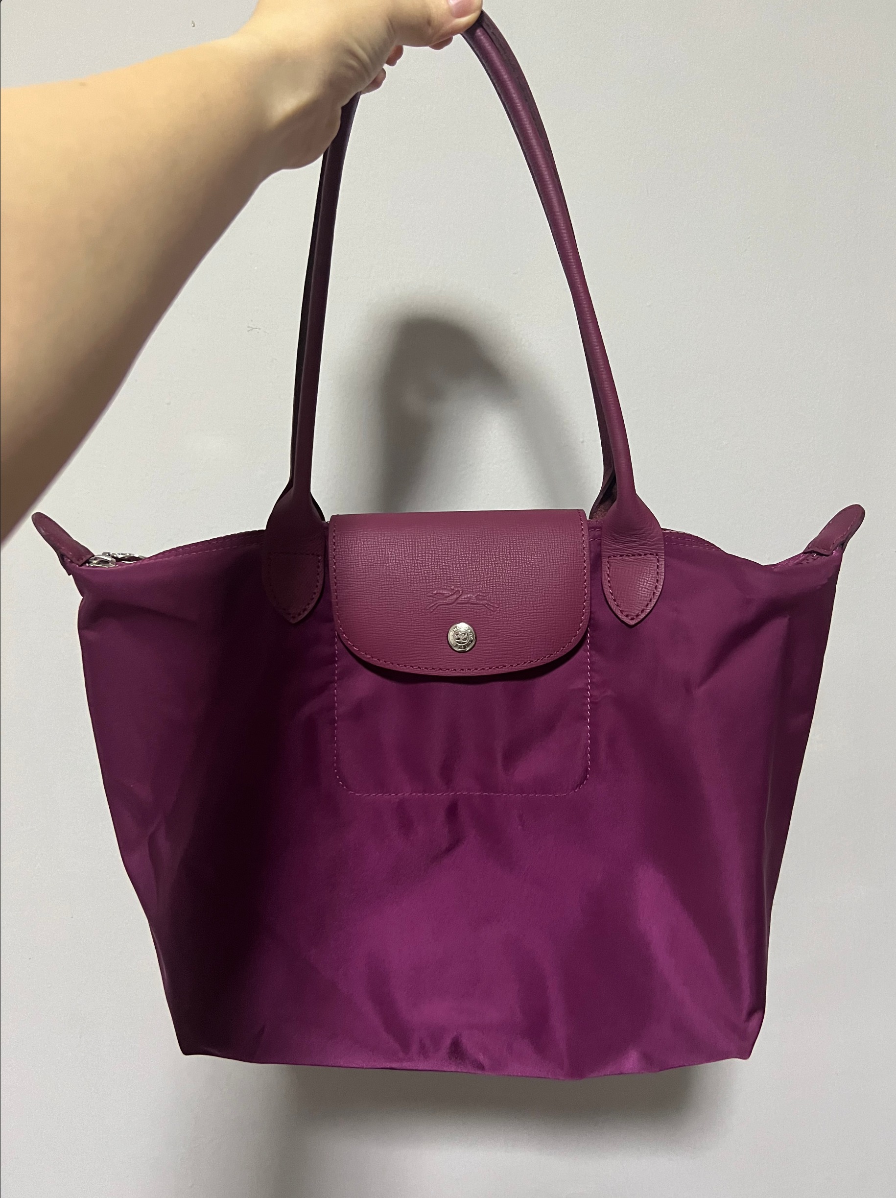 Plum online longchamp bag