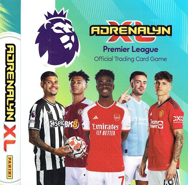 262 Club Crest Newcastle Base Panini Premier League Adrenalyn XL 2024 Card  - Solve Collectibles