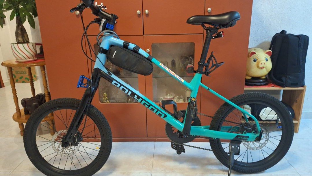Mini 2025 velo polygon
