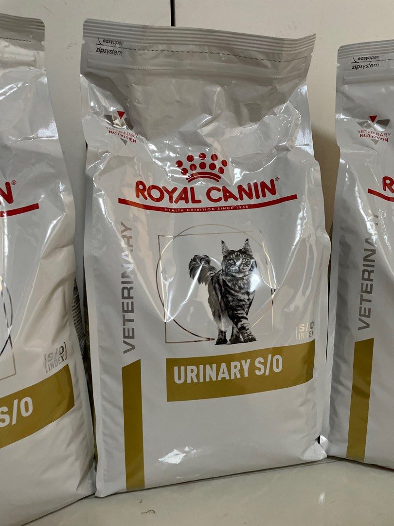 Urinary store so gatto