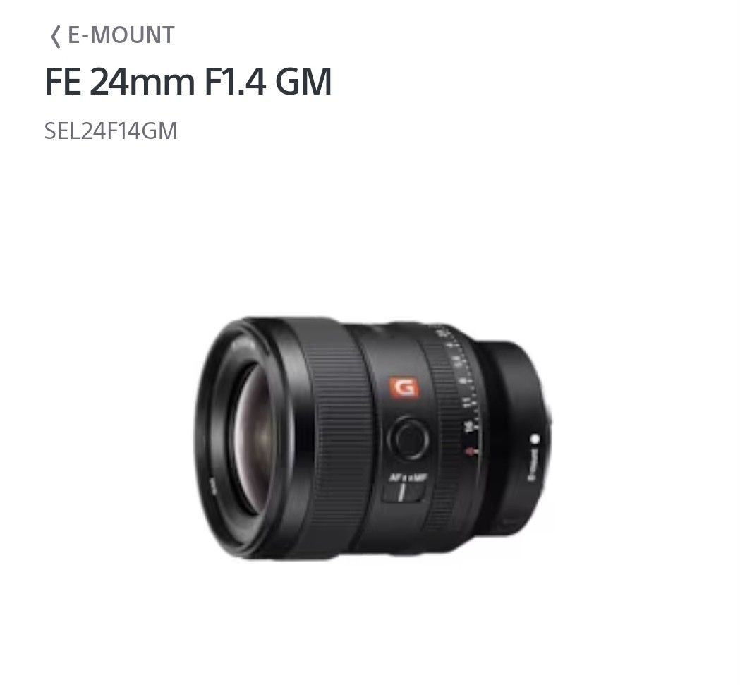 美品】Sony FE24mm F1.4 GM 単焦点 - レンズ(単焦点)