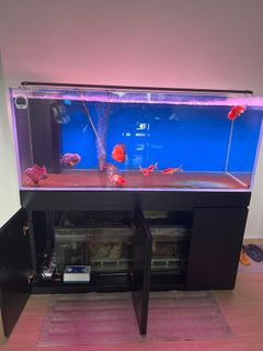 (Category: ) located in . Submitted by michellela09813 (Listing ID 1278453547, Image 1). Description: .