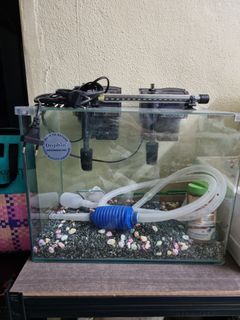 Simple Minimalist Aquarium /Aqua terrarium set with fishes (easy