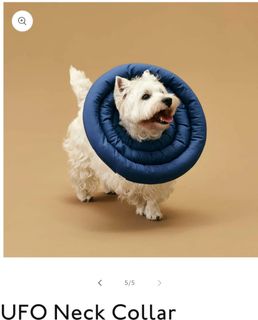 Ufo neck collar clearance