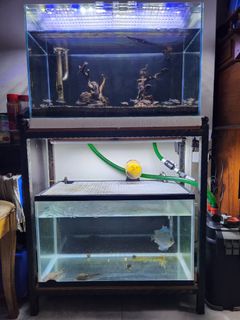 (Category: ) located in . Submitted by jusay31911 (Listing ID 1278525606, Image 1). Description: .