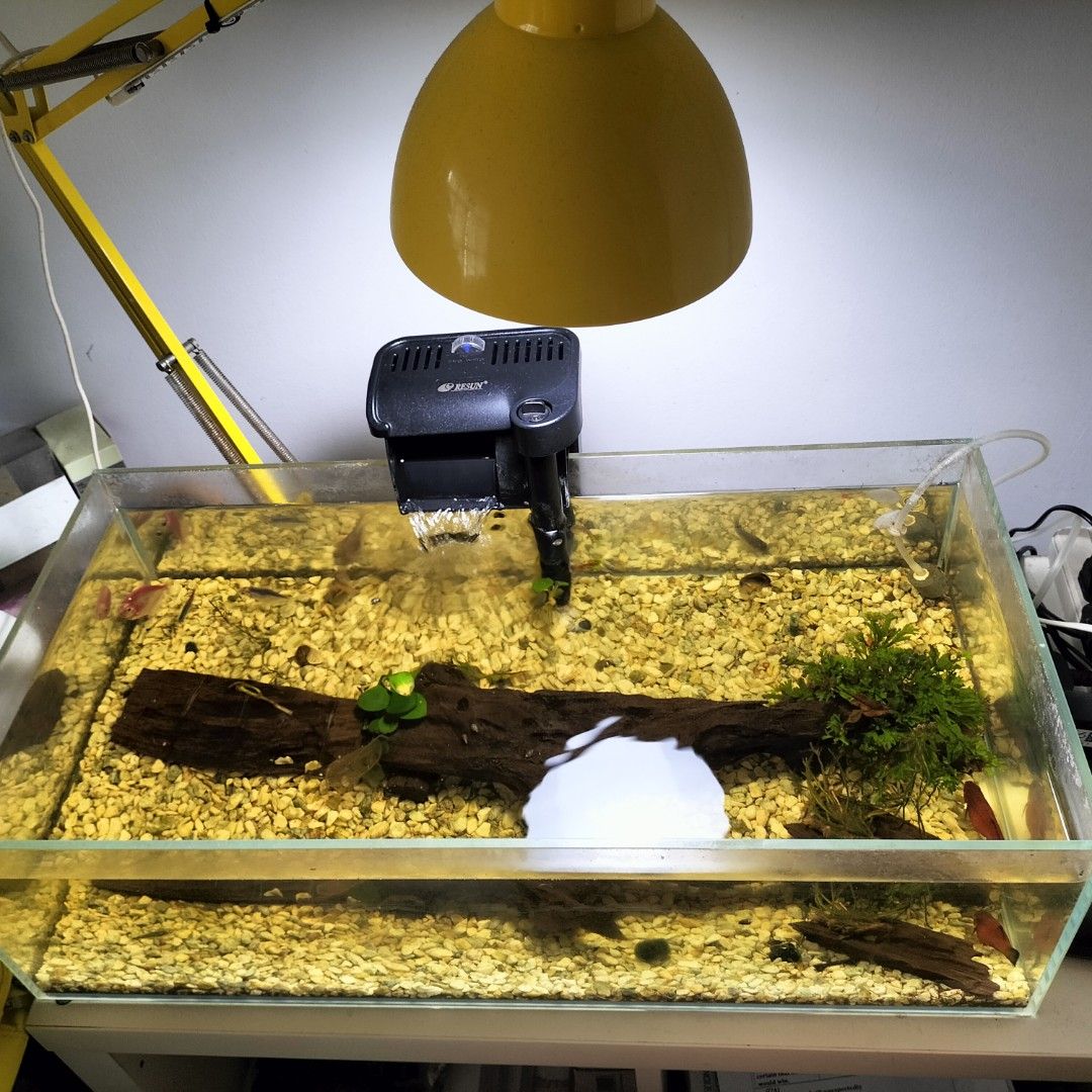 Fish tank filter all go (2ft by 1ft) low profile tank, Pet Supplies