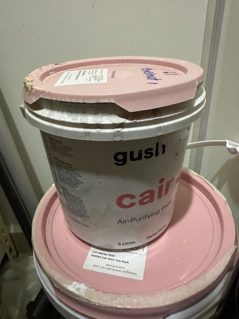 Gush Paint NE052B Kondo 101, Furniture & Home Living, Home Improvement & Organisation, Home