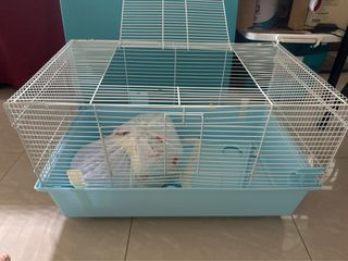 (Category: ) located in . Submitted by nohurry (Listing ID 1278424296, Image 1). Description: .