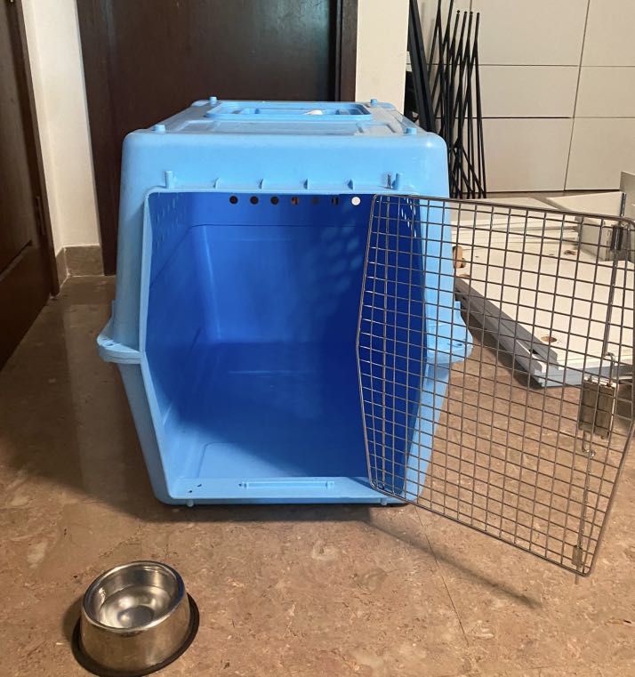 Pp50 dog crate clearance
