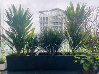 (Category: ) located in . Submitted by nonaro (Listing ID 1278584328, Image 1). Description: .