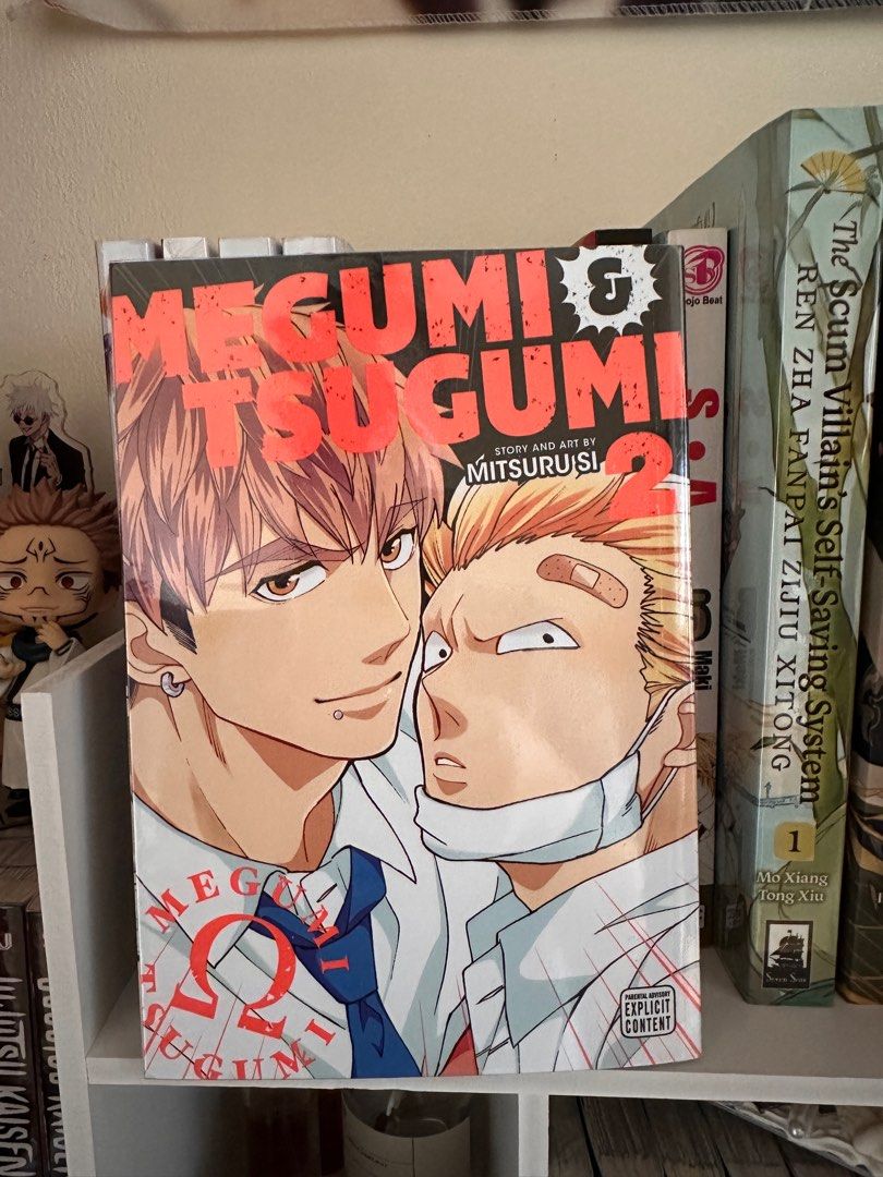 Megumi & Tsugumi Manga, Hobbies & Toys, Books & Magazines, Comics