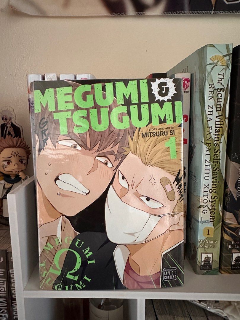 Megumi & Tsugumi Manga, Hobbies & Toys, Books & Magazines, Comics