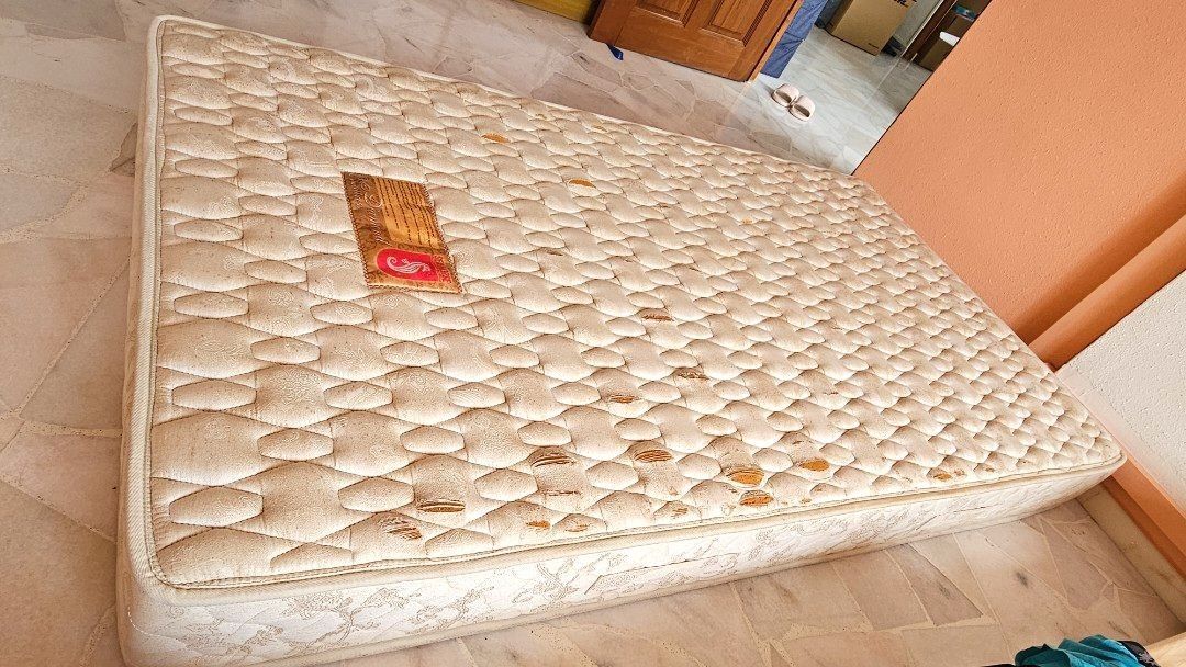 Seahorse store diamond mattress