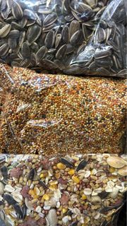 （分類：）位於 。 由 jxs_store 提交（商品編號 1278835530，圖片 1）。簡介： 。