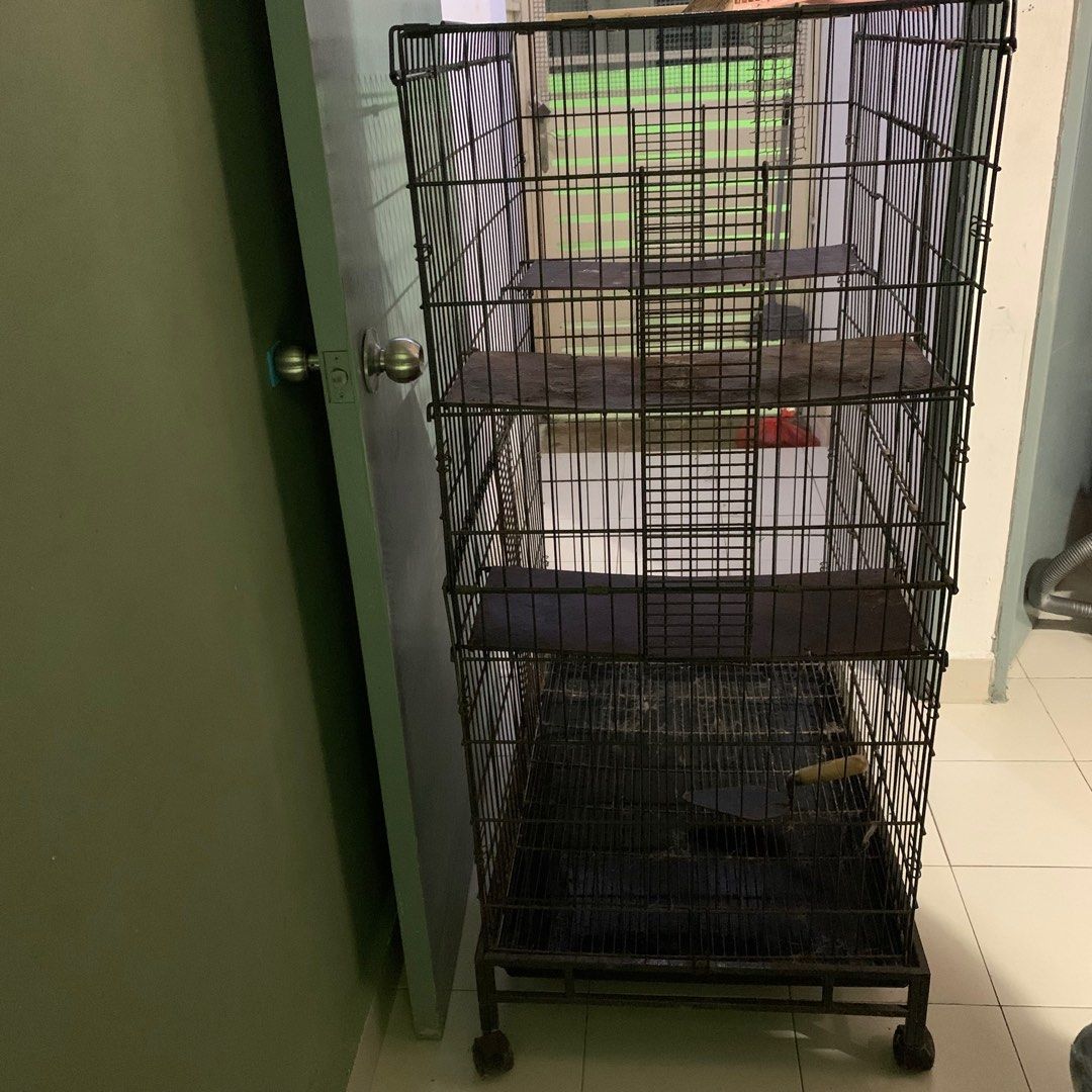 Cat cage Pet Supplies Homes Other Pet Accessories on Carousell