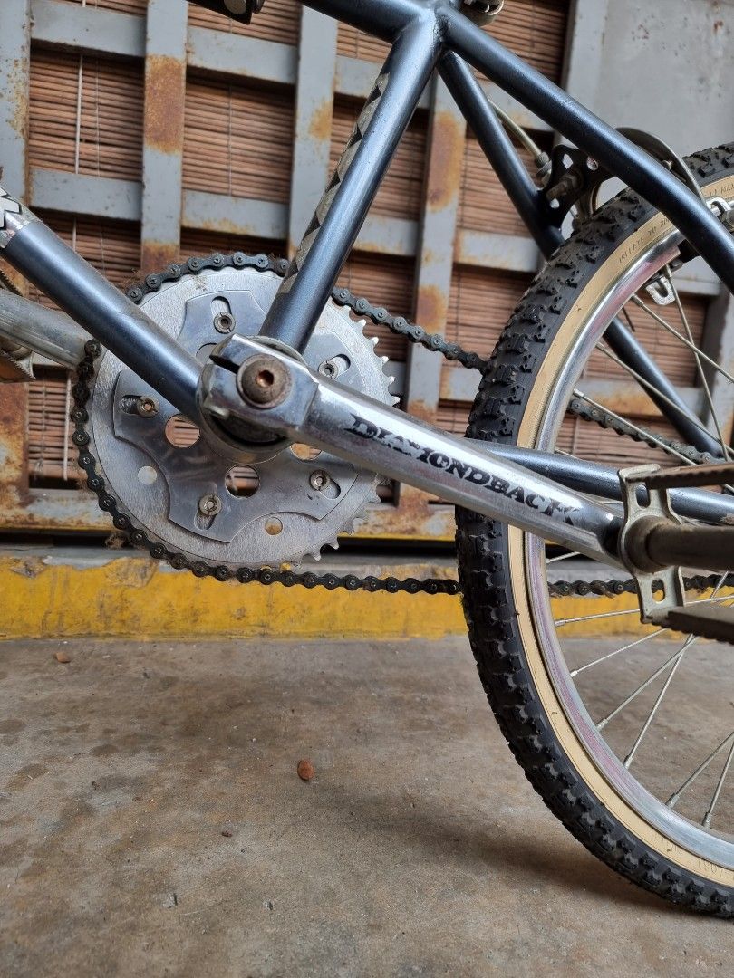 1983 diamondback silver sales streak