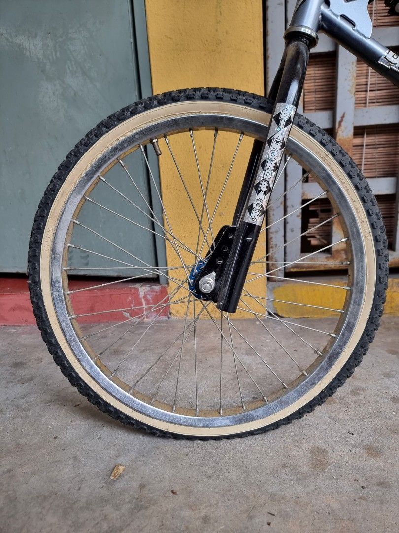 1983 diamondback silver best sale streak