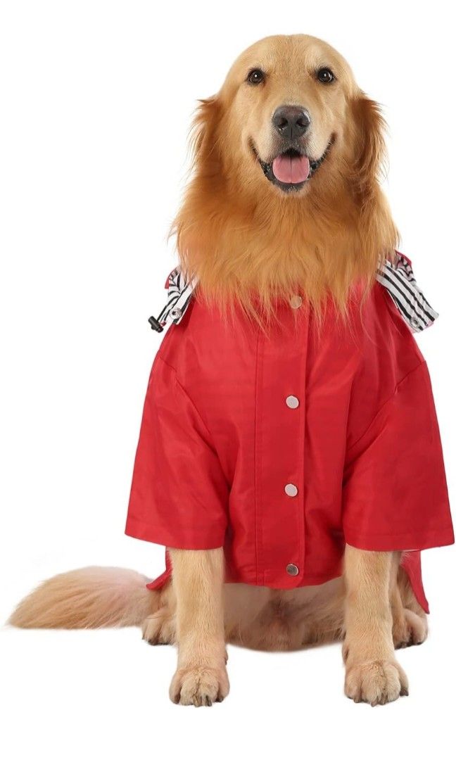 Rain jacket store for golden retriever