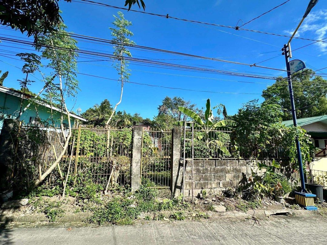 Molino 4 Bacoor Cavite Elisa Homes Subdivision Lot for sale, Property
