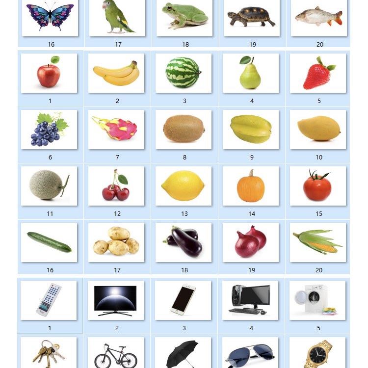 Montessori Learning Laminated Flash Cards, Babies & Kids, Infant