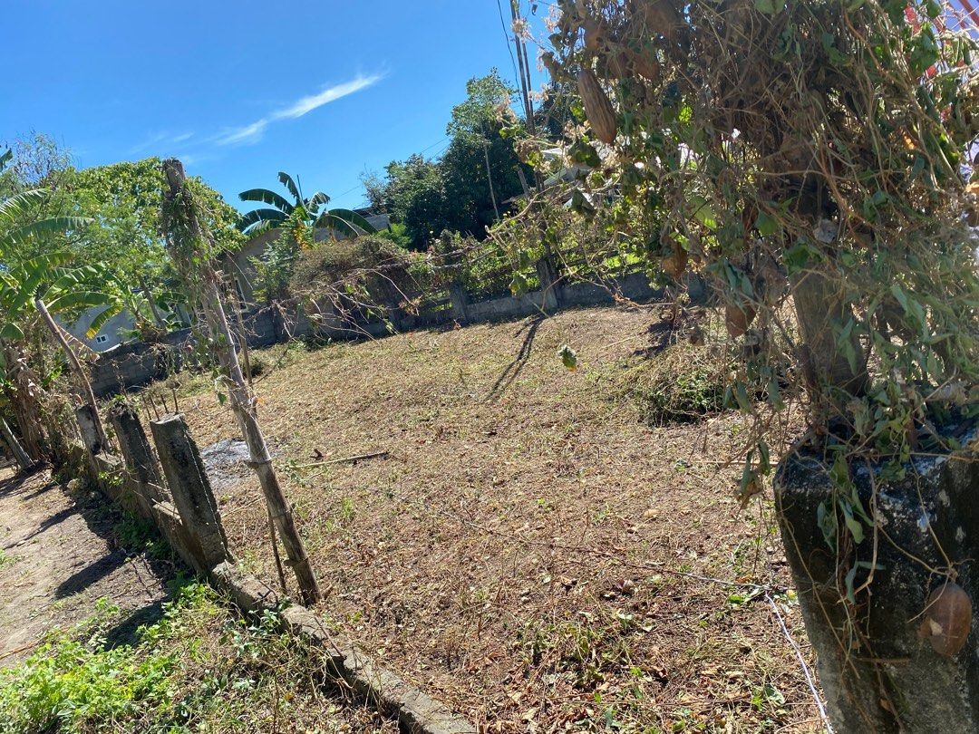 Polong bugallon pangasinan, Property, For Sale, Lot on Carousell