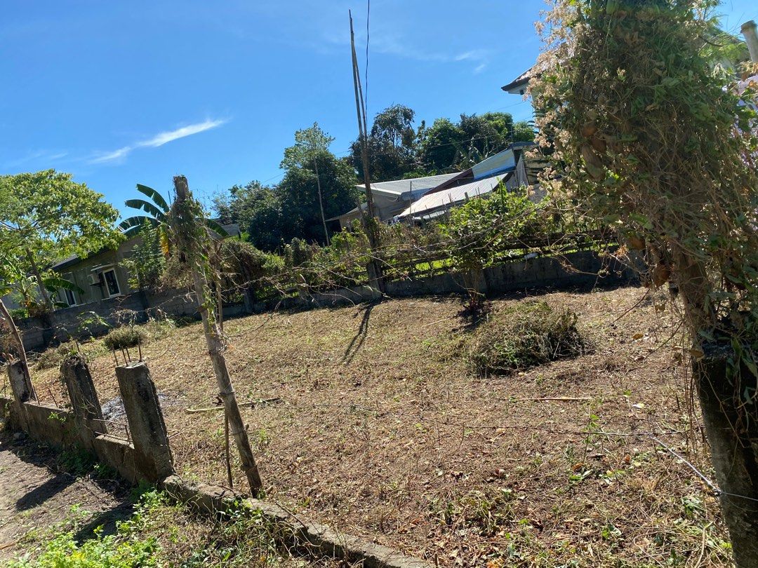 Polong bugallon pangasinan, Property, For Sale, Lot on Carousell