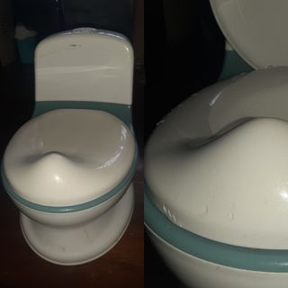 Potty trainer with flush sounds.