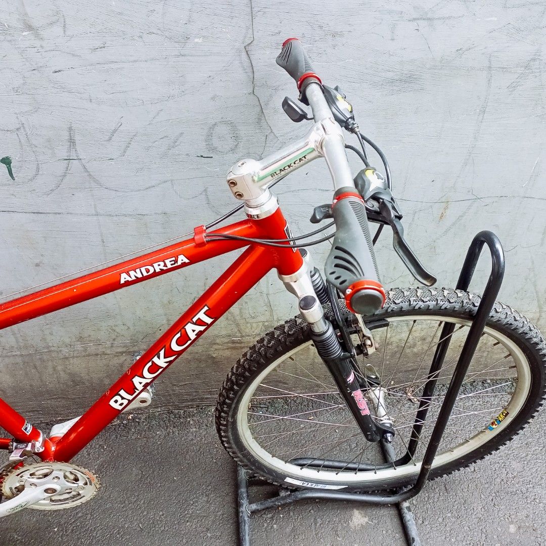 Sepeda Hybrid Black Cat High Definition Aluminium 7005 Series Oversized Frame Andrea Olah Raga Sepeda di Carousell