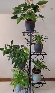 (Category: ) located in . Submitted by gisundar (Listing ID 1278956558, Image 1). Description: .