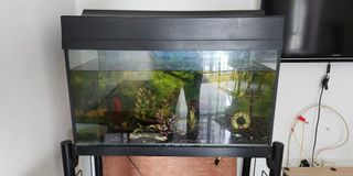(Category: ) located in . Submitted by a.khairi (Listing ID 1278987542, Image 1). Description: .