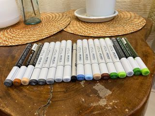 Copic Sketch Markers (12) and 6 refills